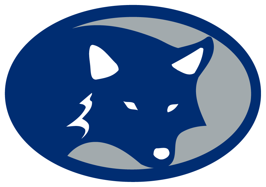 Nevada Wolf Pack 2001 Secondary Logo diy iron on heat transfer